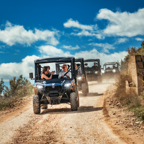 Buggy Adventure